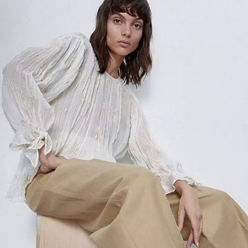 Zara sheer embroidered top